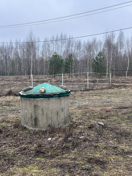 Вилки д.: дом