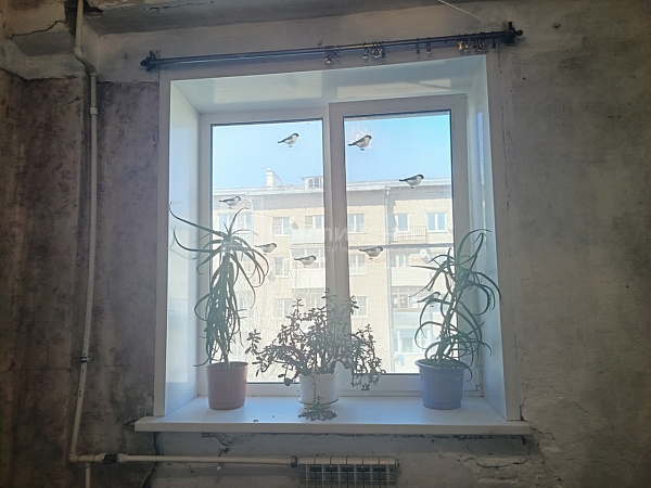 комната, 26 кв.м.