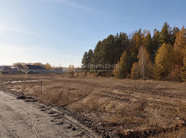 Погост д.: участок 15 соток