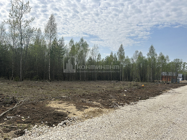 Злобино д.: дом